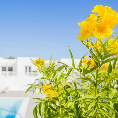 Appartement Flower 6