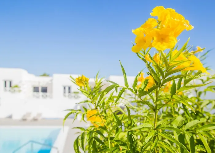 Apartamento Flower 6